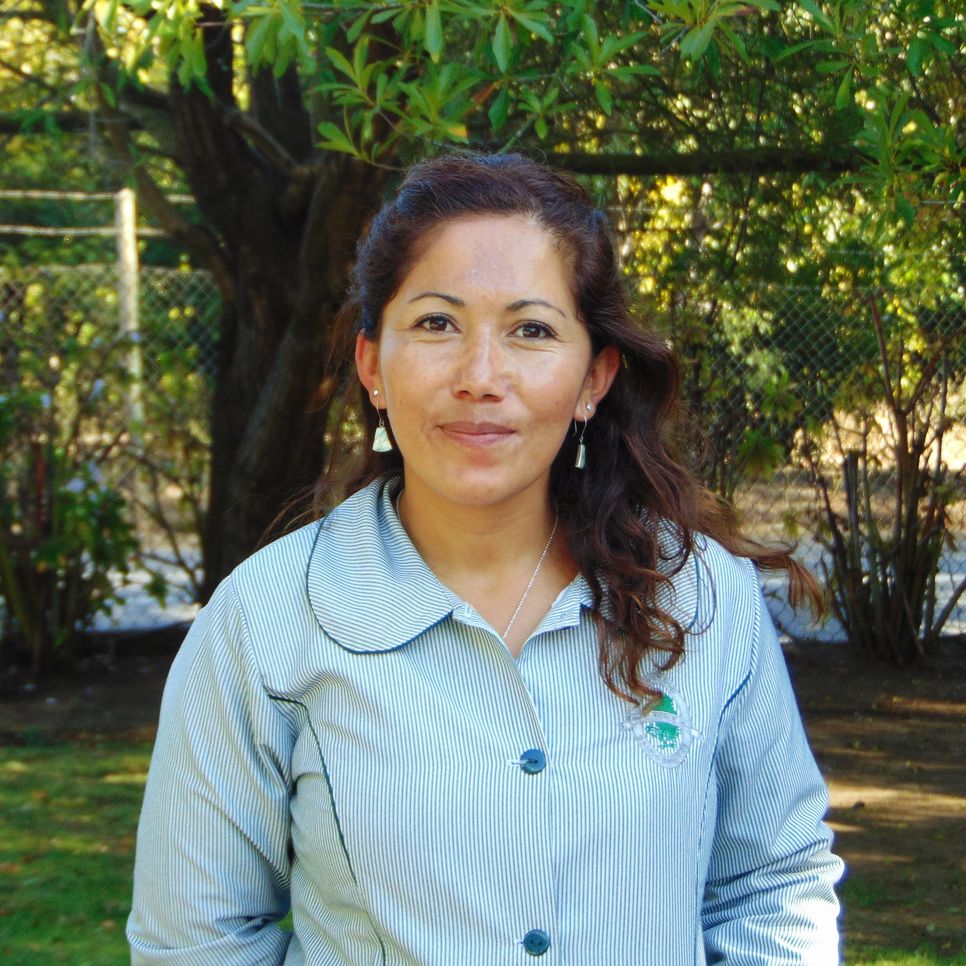 Rosa Pilar Navarro Serrano