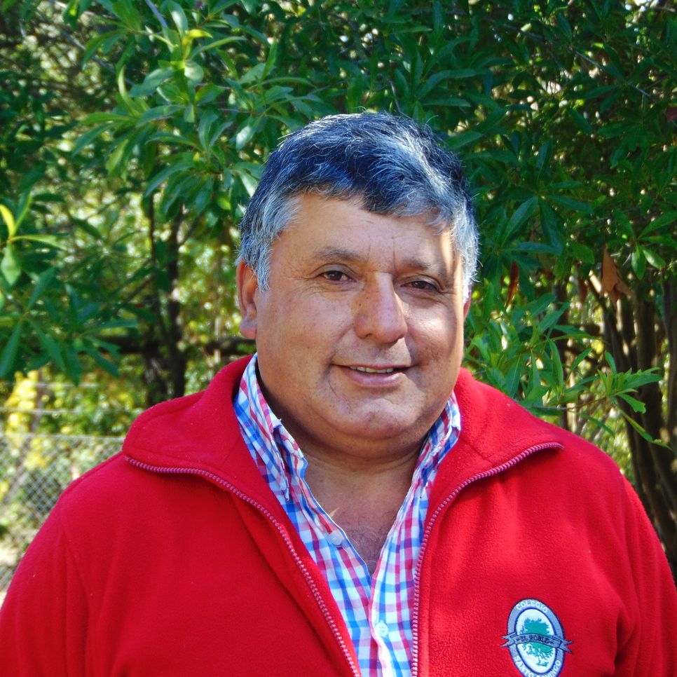 Hernán Aravena Martínez